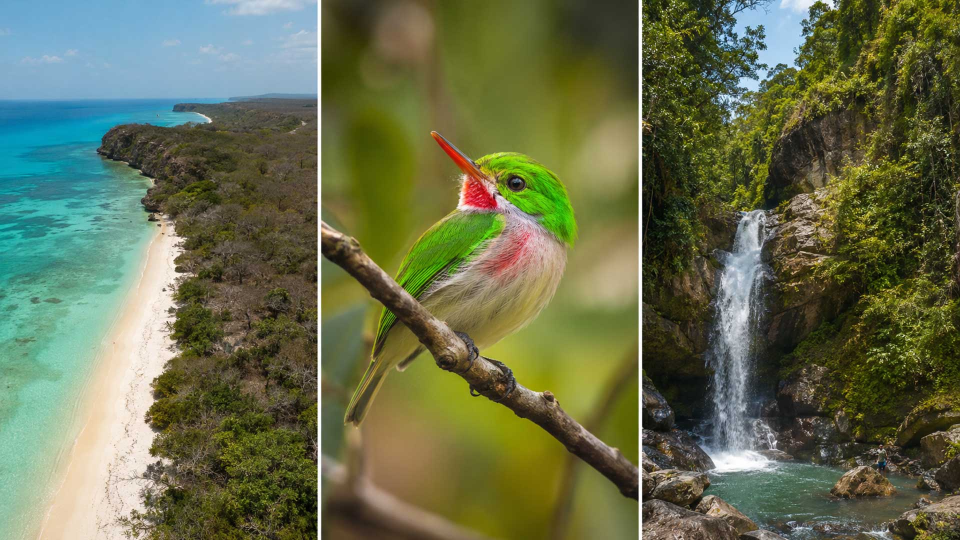 Collage aus Küstenlandschaft, farbenprächtigem Vogel und Wasserfall als Symbol für die Biosphärenreservate der Dominikanischen Republik